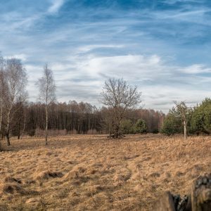 Panoramy