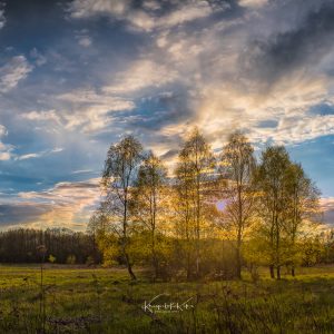 Panoramy
